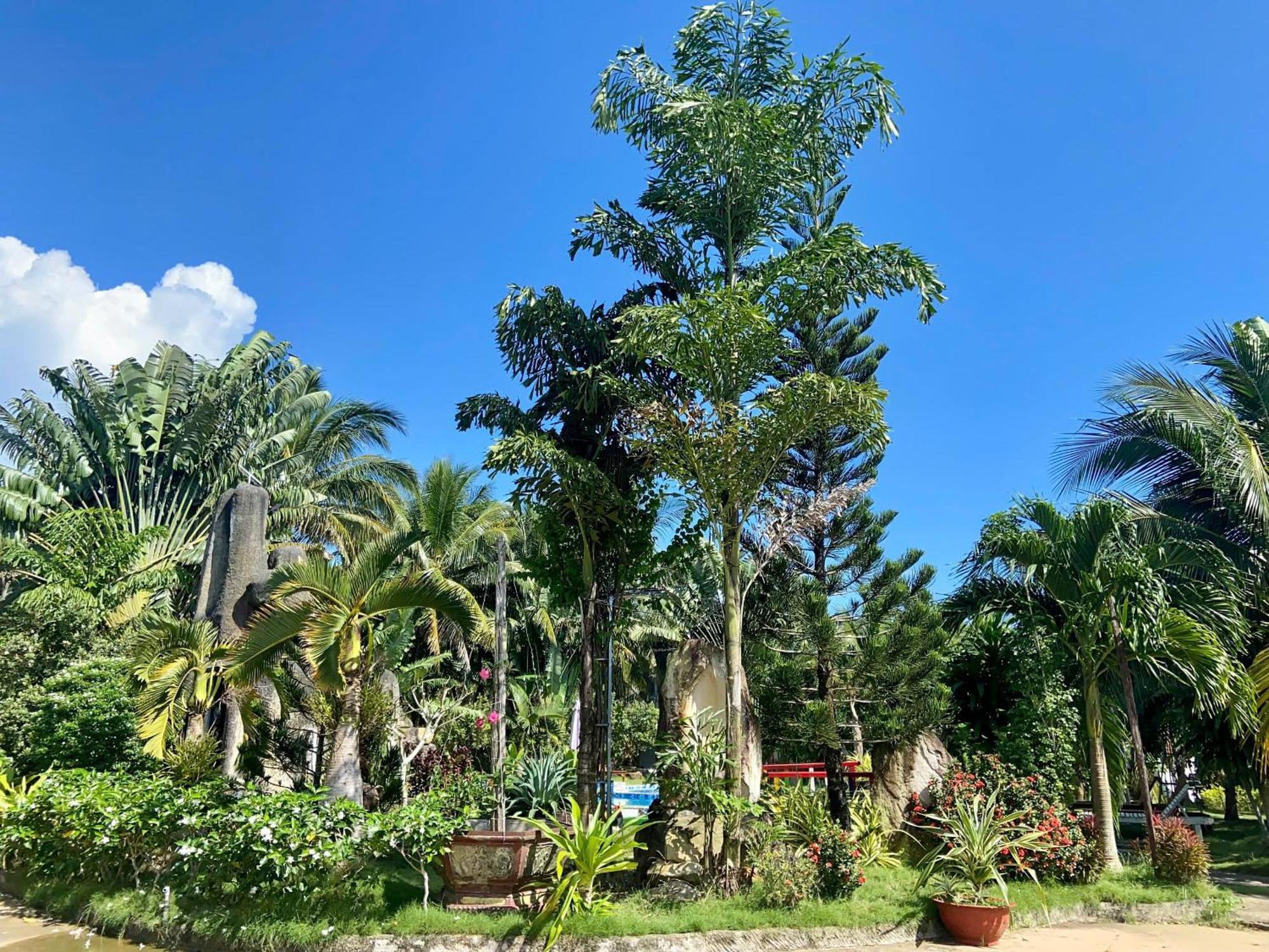 Y Nghia Bungalow Ong Lang Phu Quoc Exteriér fotografie