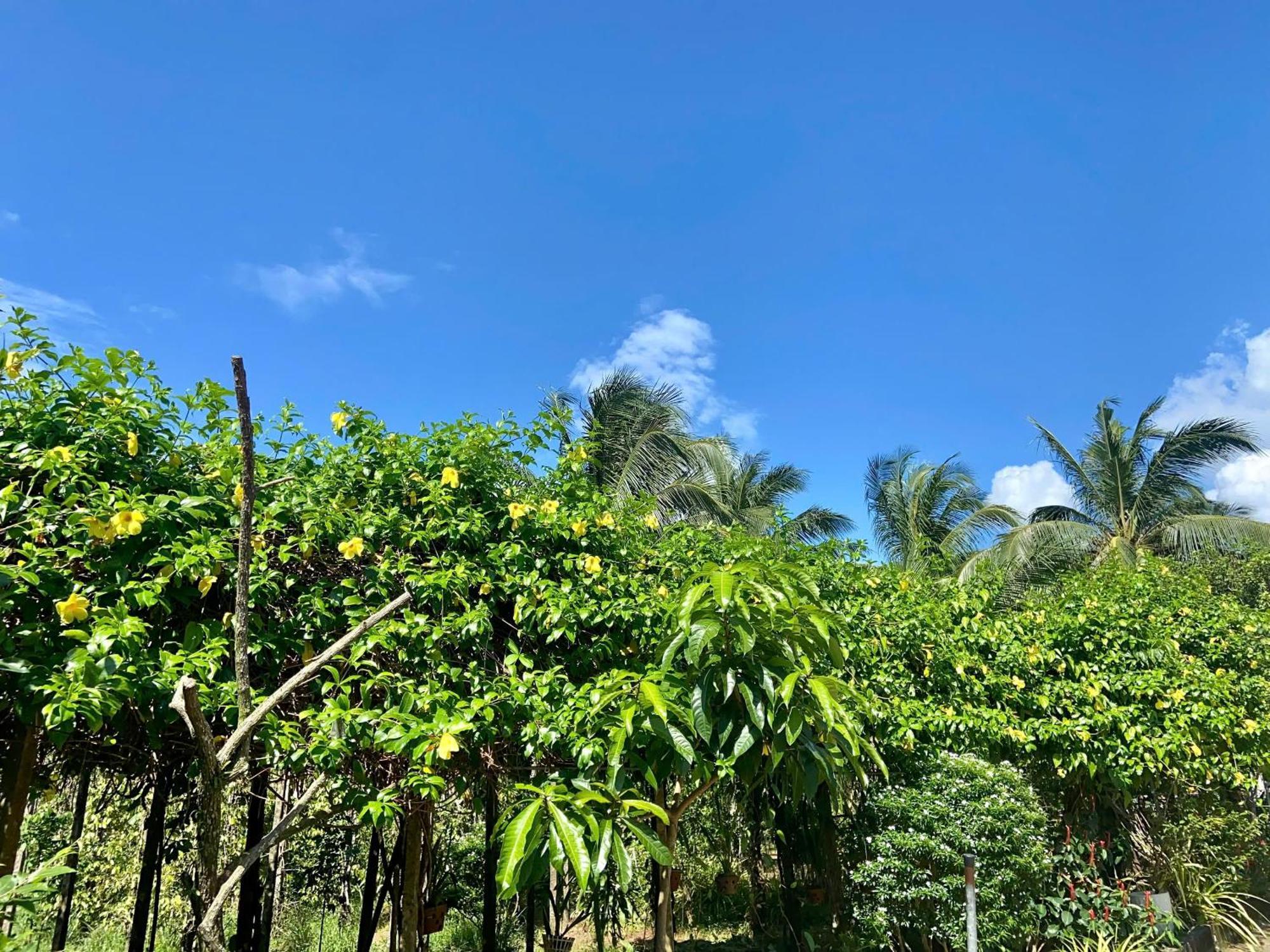 Y Nghia Bungalow Ong Lang Phu Quoc Exteriér fotografie
