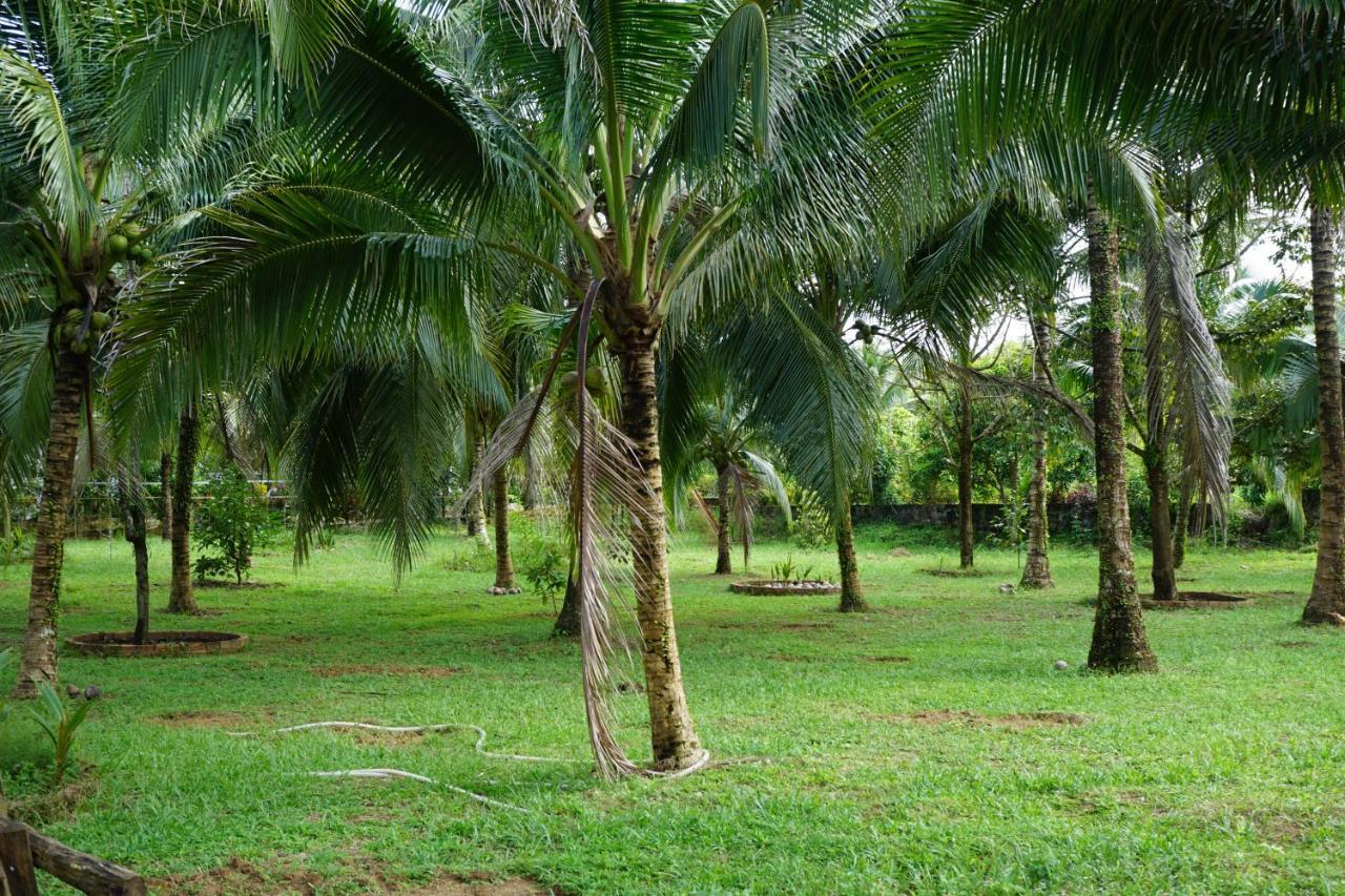 Y Nghia Bungalow Ong Lang Phu Quoc Exteriér fotografie